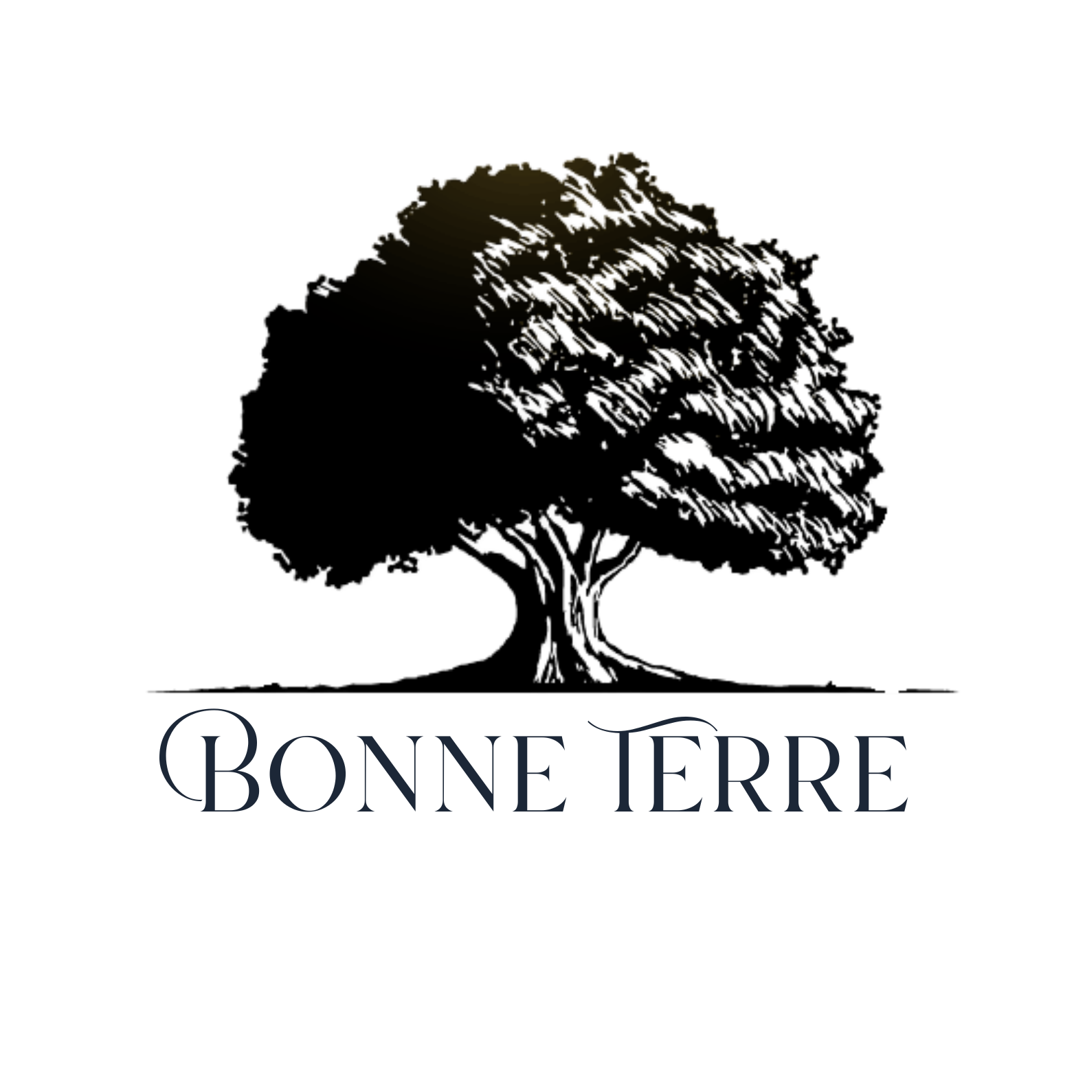 Bonne Terre logo transparent